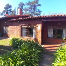 Robles del Monarca, Pilar. Las Plátanos 2900