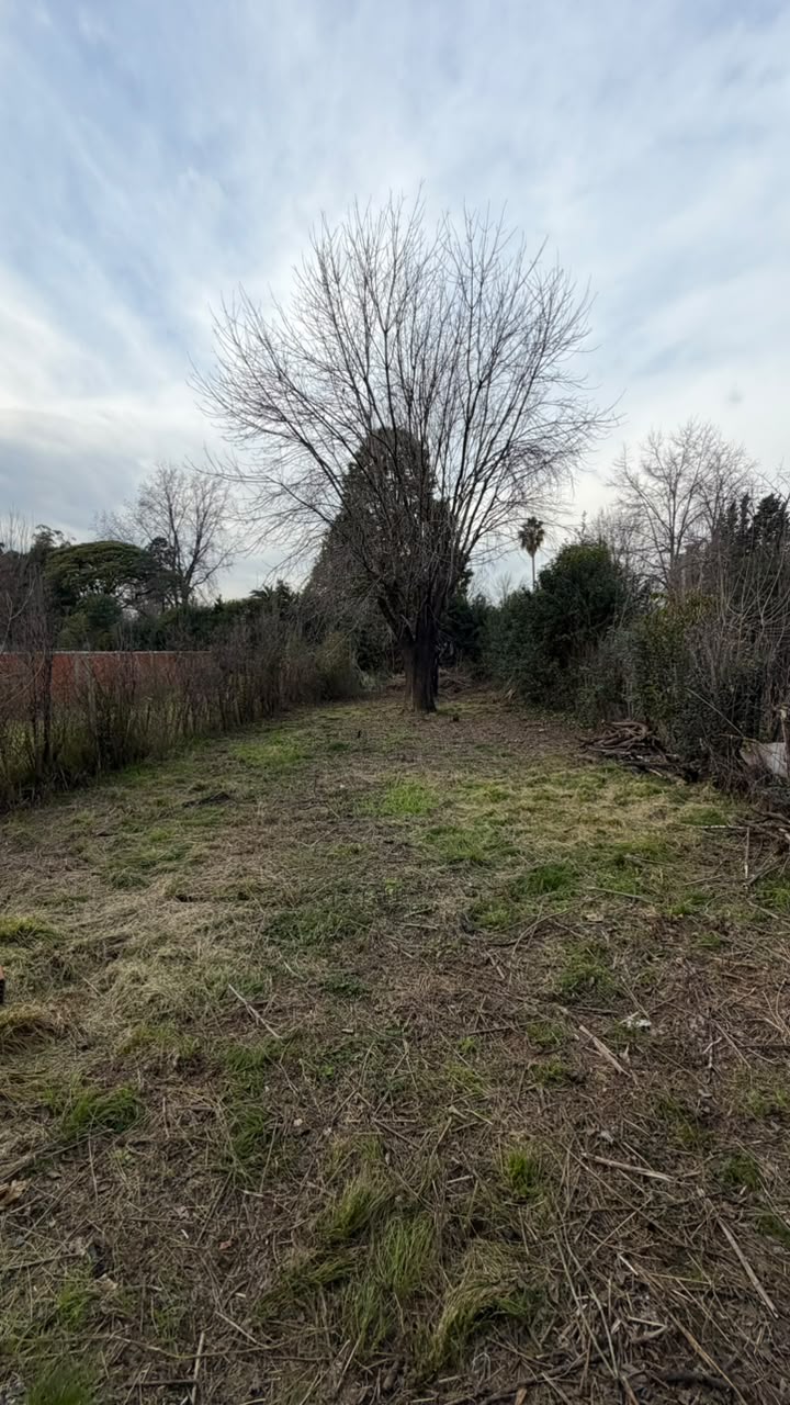 El Chingolo 2811 - Image 7