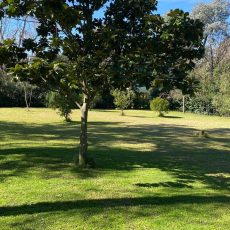 Fracción + Casa quinta, Pilar. Salguero 2650